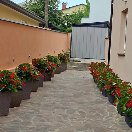 Nona Umag